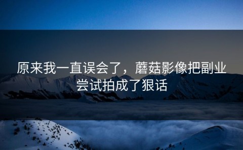 原来我一直误会了，蘑菇影像把副业尝试拍成了狠话