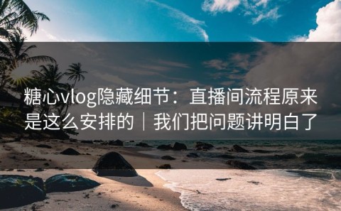 糖心vlog隐藏细节：直播间流程原来是这么安排的｜我们把问题讲明白了