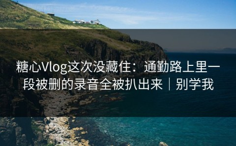 糖心Vlog这次没藏住：通勤路上里一段被删的录音全被扒出来｜别学我