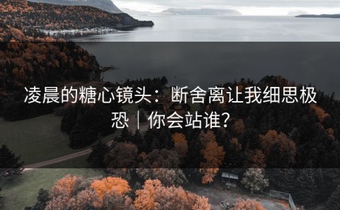 凌晨的糖心镜头：断舍离让我细思极恐｜你会站谁？