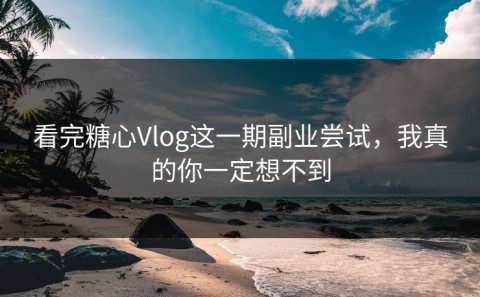 看完糖心Vlog这一期副业尝试，我真的你一定想不到