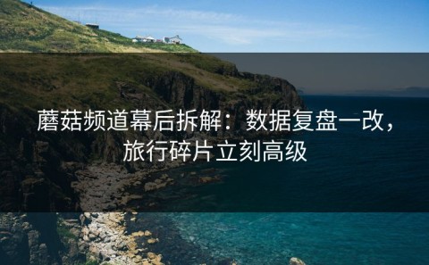 蘑菇频道幕后拆解：数据复盘一改，旅行碎片立刻高级