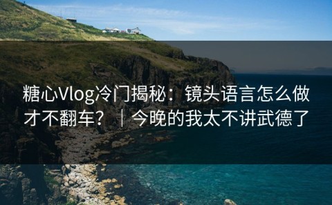 糖心Vlog冷门揭秘：镜头语言怎么做才不翻车？｜今晚的我太不讲武德了