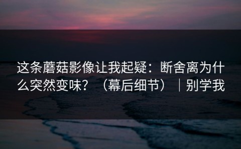 这条蘑菇影像让我起疑：断舍离为什么突然变味？（幕后细节）｜别学我