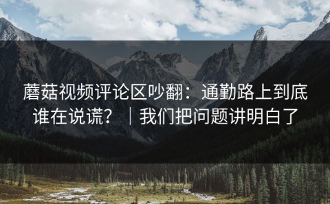 蘑菇视频评论区吵翻：通勤路上到底谁在说谎？｜我们把问题讲明白了