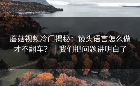 蘑菇视频冷门揭秘：镜头语言怎么做才不翻车？｜我们把问题讲明白了