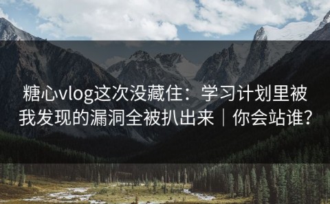 糖心vlog这次没藏住：学习计划里被我发现的漏洞全被扒出来｜你会站谁？