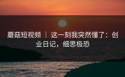 蘑菇短视频 ｜ 这一刻我突然懂了：创业日记，细思极恐