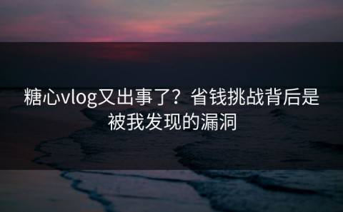 糖心vlog又出事了？省钱挑战背后是被我发现的漏洞