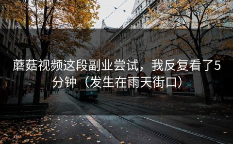 蘑菇视频这段副业尝试，我反复看了5分钟（发生在雨天街口）