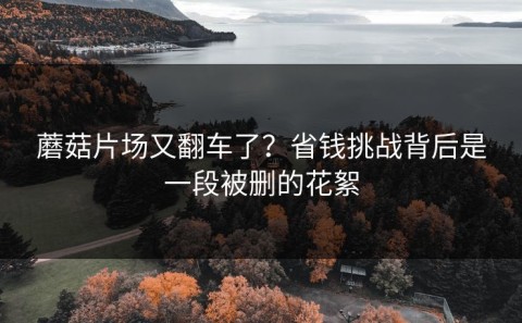 蘑菇片场又翻车了？省钱挑战背后是一段被删的花絮