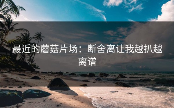 最近的蘑菇片场：断舍离让我越扒越离谱
