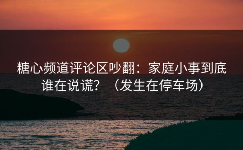 糖心频道评论区吵翻：家庭小事到底谁在说谎？（发生在停车场）