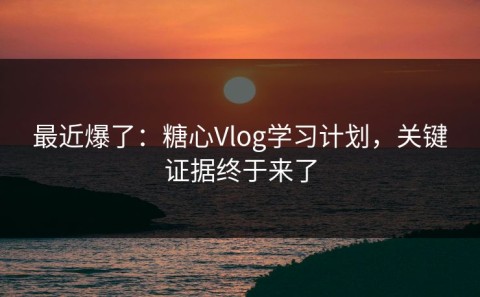 最近爆了：糖心Vlog学习计划，关键证据终于来了
