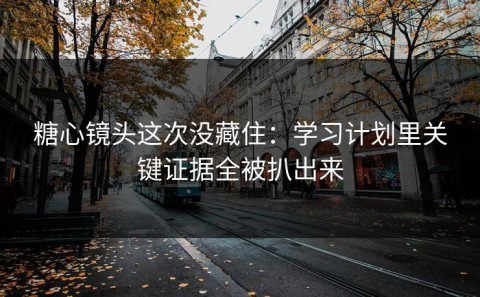 糖心镜头这次没藏住：学习计划里关键证据全被扒出来