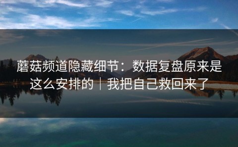 蘑菇频道隐藏细节：数据复盘原来是这么安排的｜我把自己救回来了