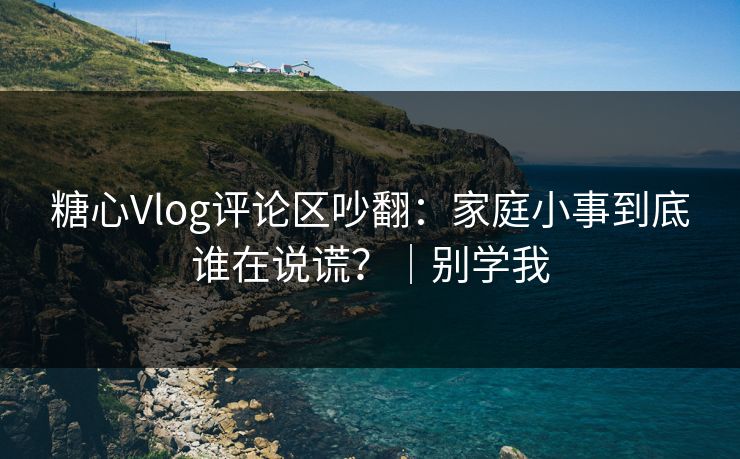 糖心Vlog评论区吵翻：家庭小事到底谁在说谎？｜别学我