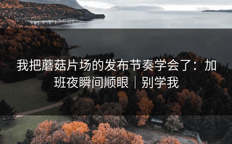 我把蘑菇片场的发布节奏学会了:加班夜瞬间顺眼|别学我 我把蘑菇片场的发布节奏学会了:加班夜瞬间顺眼|别学我