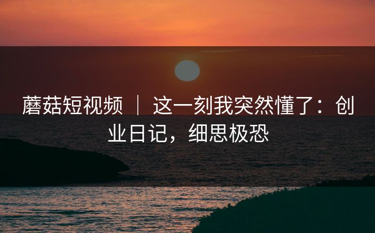 蘑菇短视频 ｜ 这一刻我突然懂了：创业日记，细思极恐