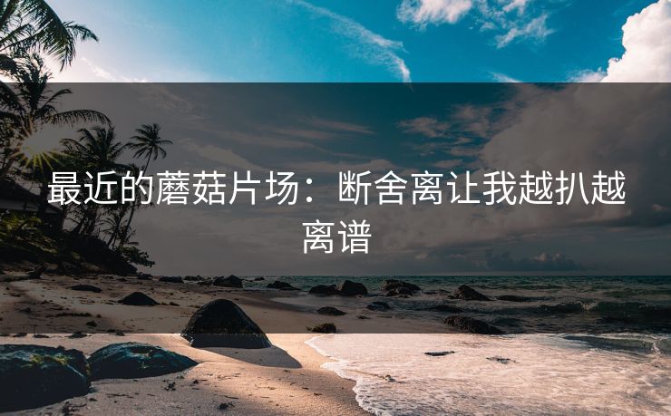 最近的蘑菇片场：断舍离让我越扒越离谱