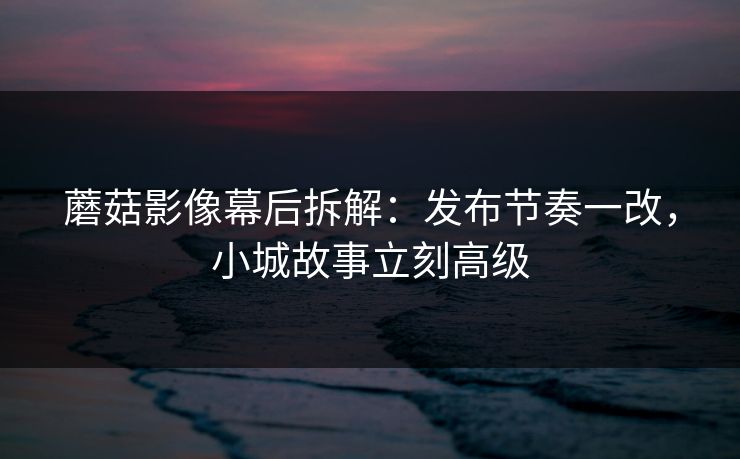 蘑菇影像幕后拆解：发布节奏一改，小城故事立刻高级