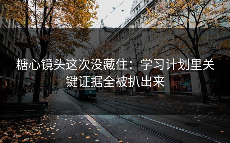 糖心镜头这次没藏住:学习计划里关键证据全被扒出来 糖心镜头这次没藏住:学习计划里关键证据全被扒出来