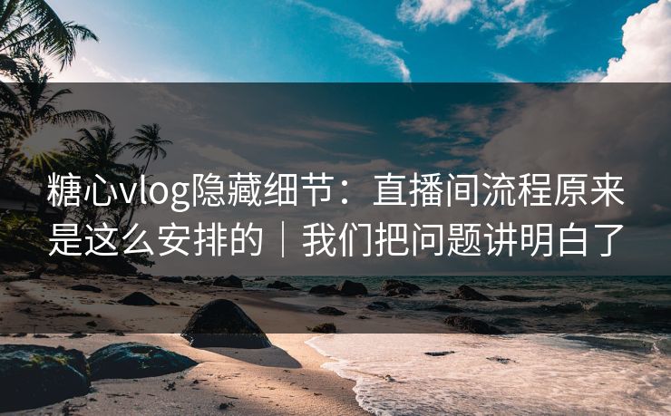 糖心vlog隐藏细节:直播间流程原来是这么安排的|我们把问题讲明白了 糖心vlog隐藏细节:直播间流程原来是这么安排的|我们把问题讲明白了